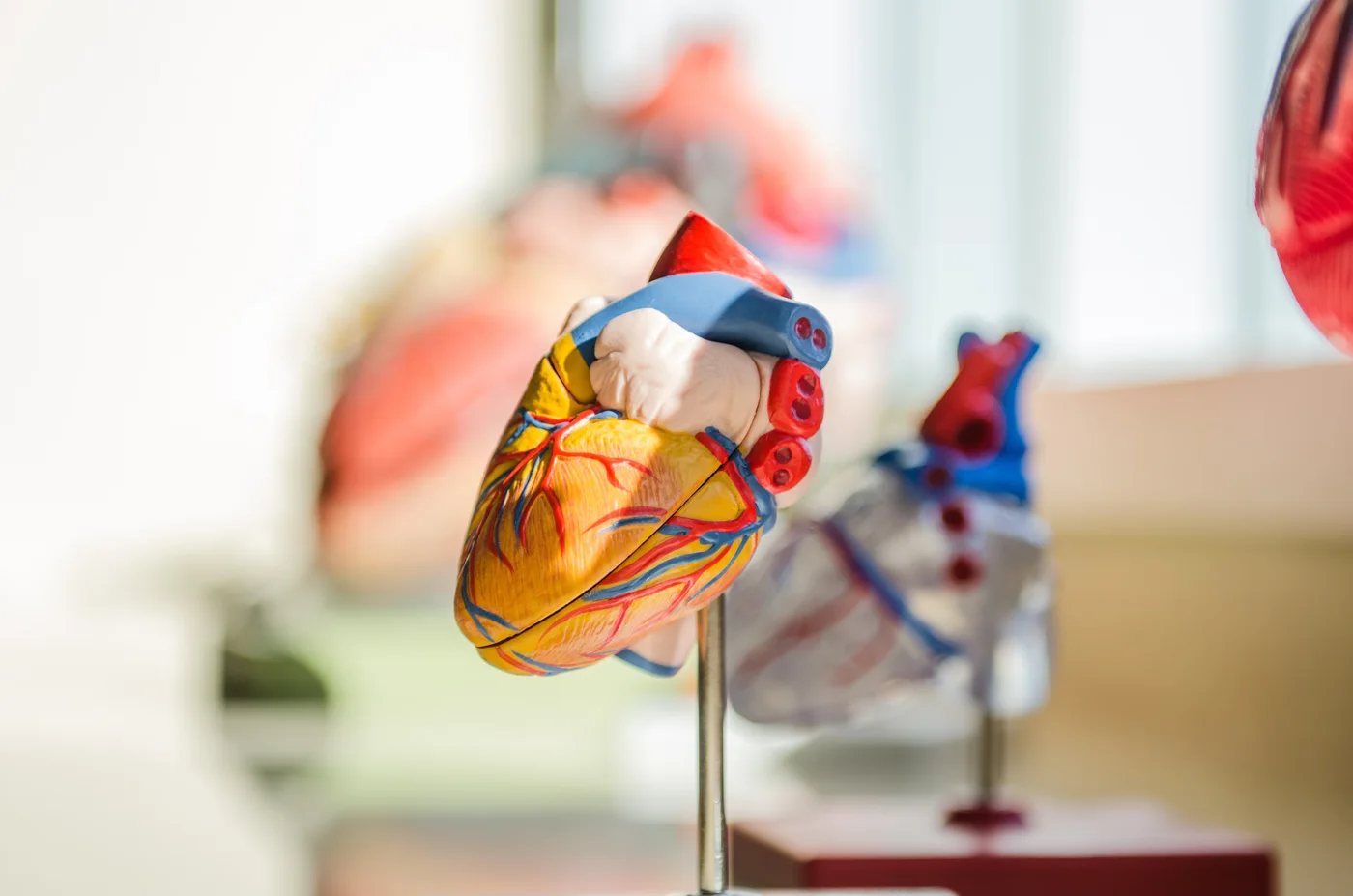 Anjiyo Nedir? - New Hospital